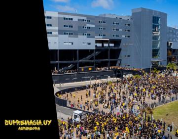 Peñarol celebró sus 134 años con la clásica 5K en el Campeón del Siglo: fiesta, récord de hinchas y apoyo a los deportes menores
