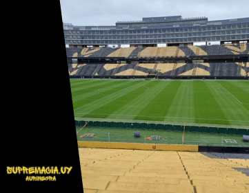 Peñarol dará el salto al césped híbrido en el Campeón del Siglo