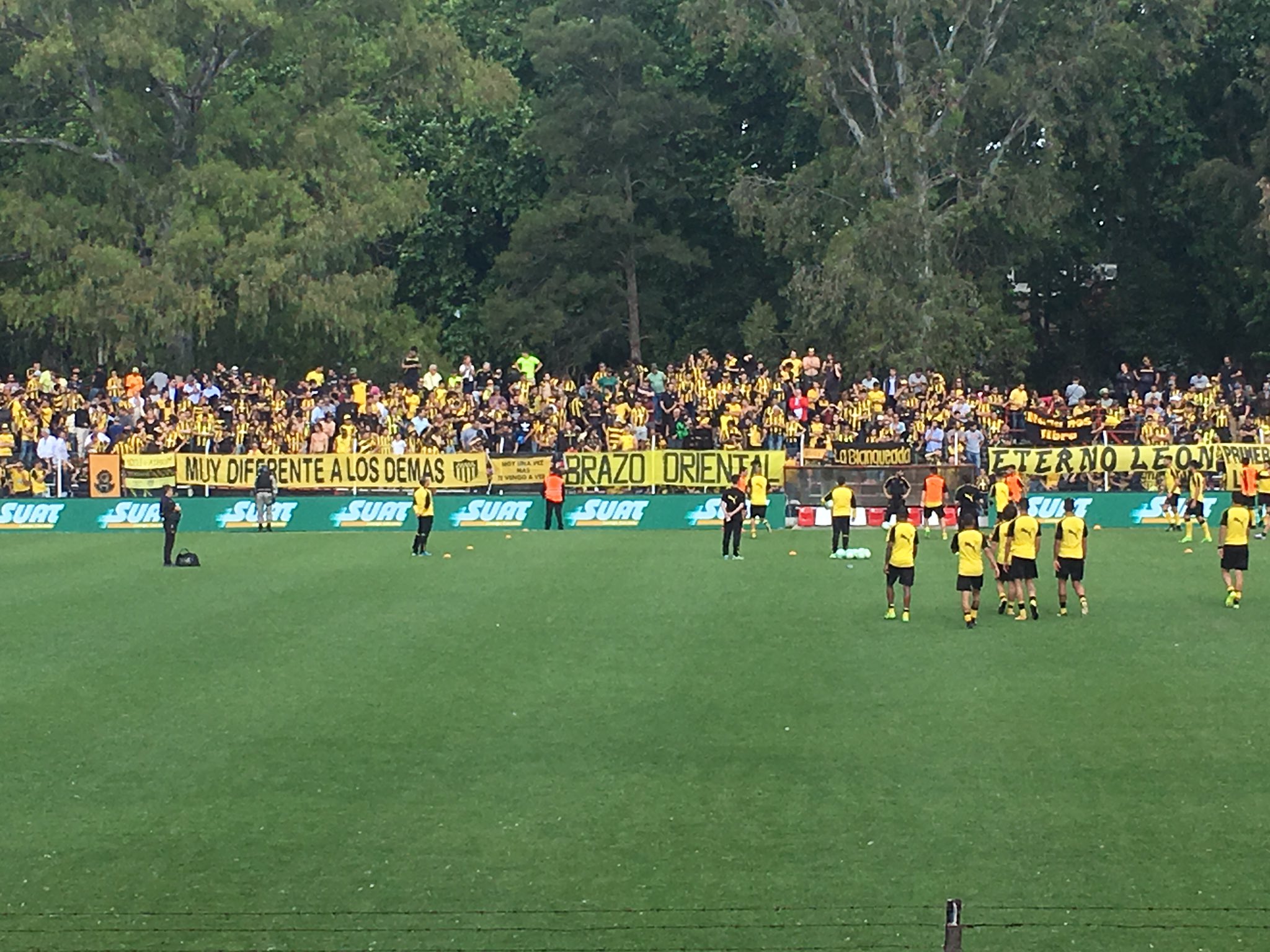 hinchada de peñarol en el Saroldi